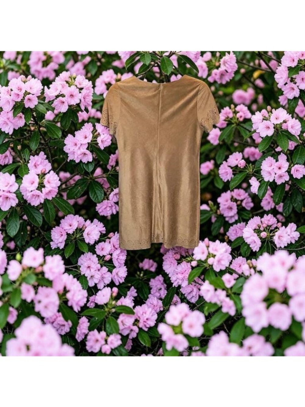 Short Sleeve Faux Suede Shift Dress - Picture 3 of 8